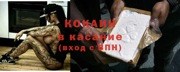 сатива Каменногорск