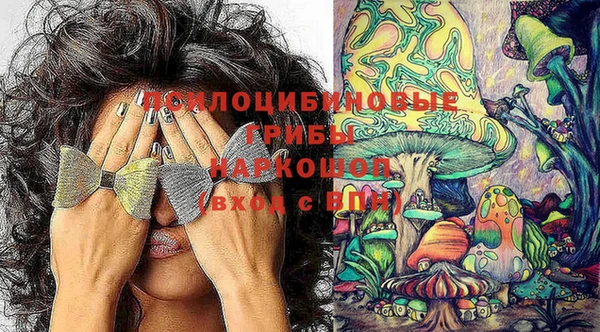 сатива Каменск-Шахтинский