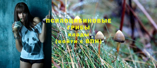 альфа пвп Вяземский
